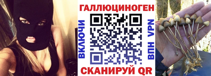Купить  Югорск  Псилоцибиновые грибы ЛСД 